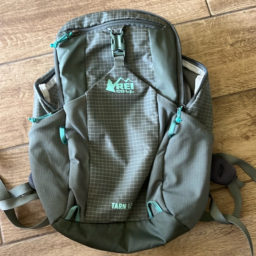 REI Tarn 12 backpack with camelback bladder